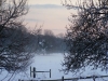 cows_on_a_misty_day