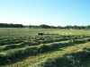 making_hay-june2009