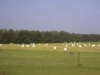 round_hay_bales_wrapped