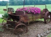 wagon_of_wave_petunias