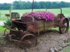 wagon_of_wave_petunias_0